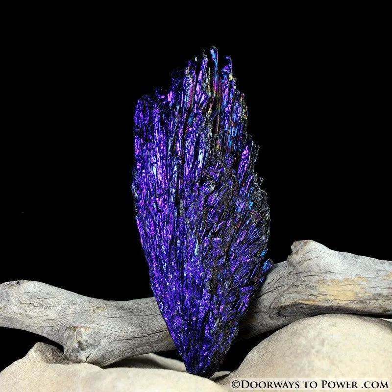 Black Kyanite Peacock Aura Crystal A    