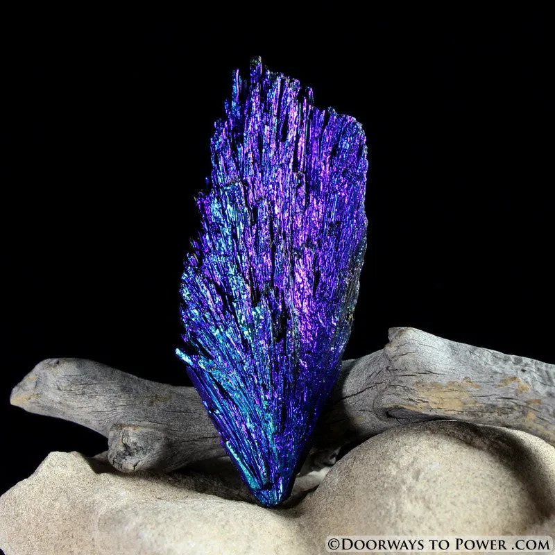 Black Kyanite Peacock Aura Crystal A    