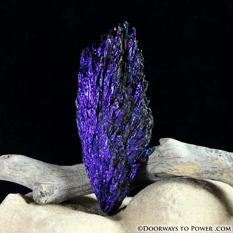 Black Kyanite Peacock Aura Crystal A    