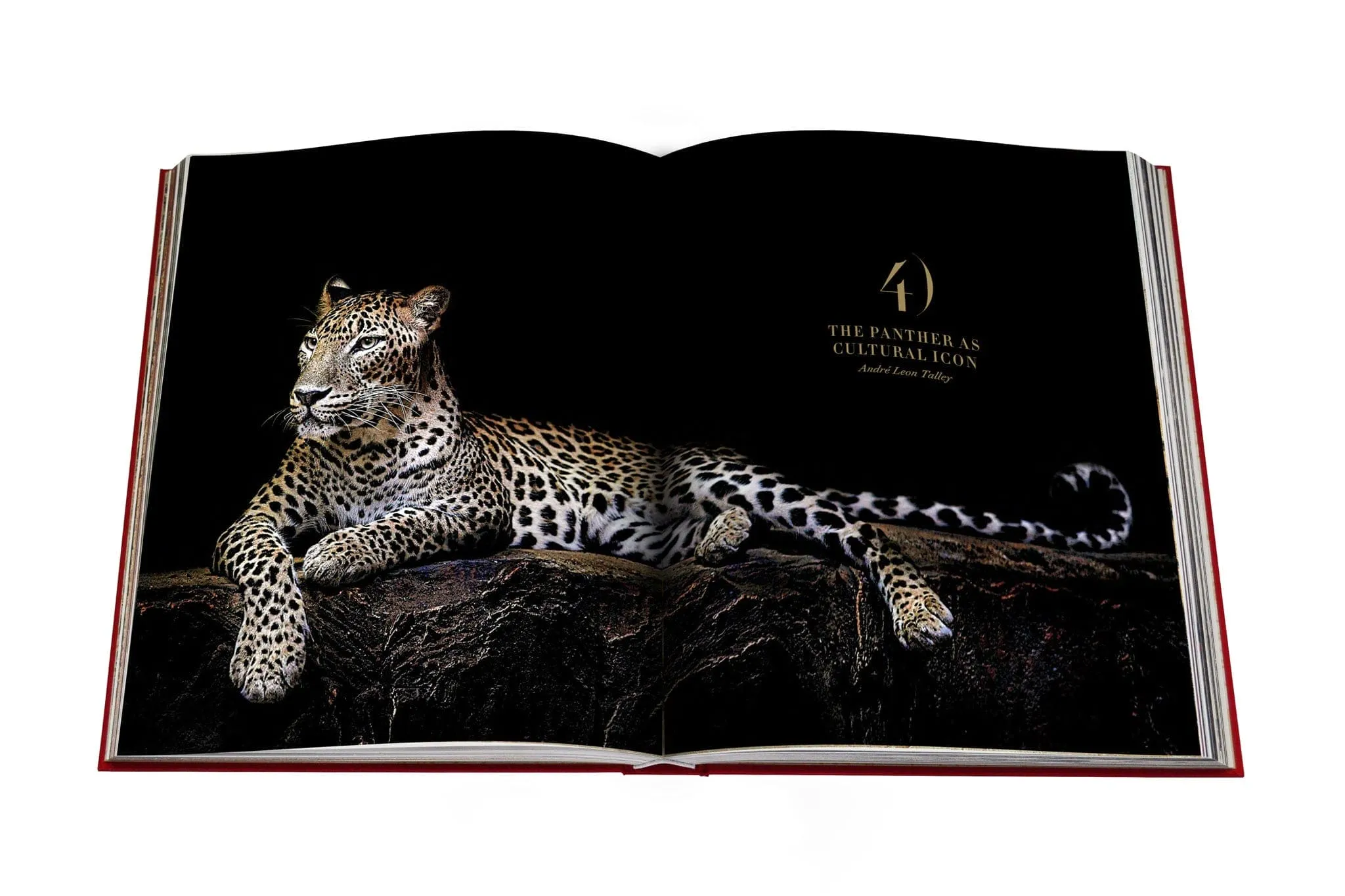 Cartier Panthere Book