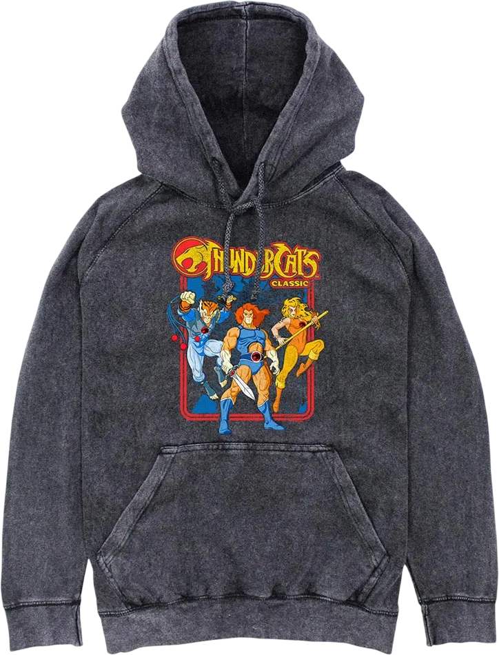 Classic Hero Poses ThunderCats Hoodie