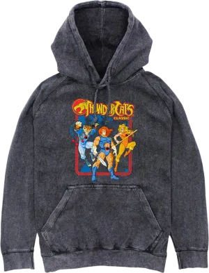 Classic Hero Poses ThunderCats Hoodie