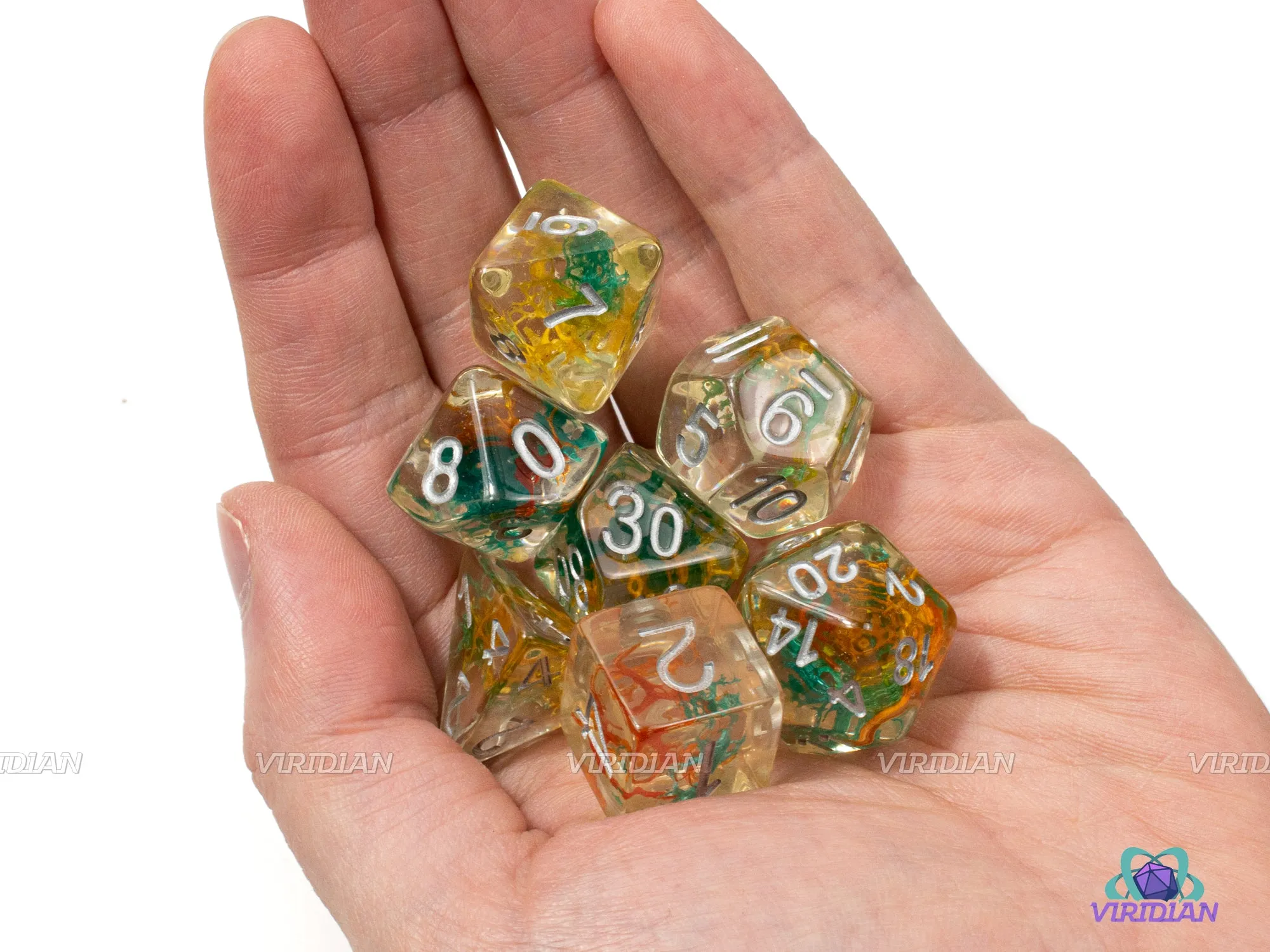 Living Reef | Moss Filled Resin Dice Set (7) | Dungeons and Dragons (DnD)